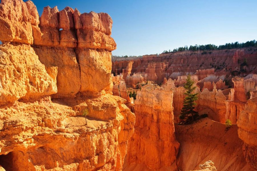 The Castle on the Cliff: Majestic, Magic, Manoir