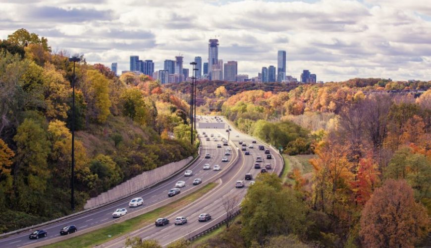 Tiptoe through the Tulips of Washington