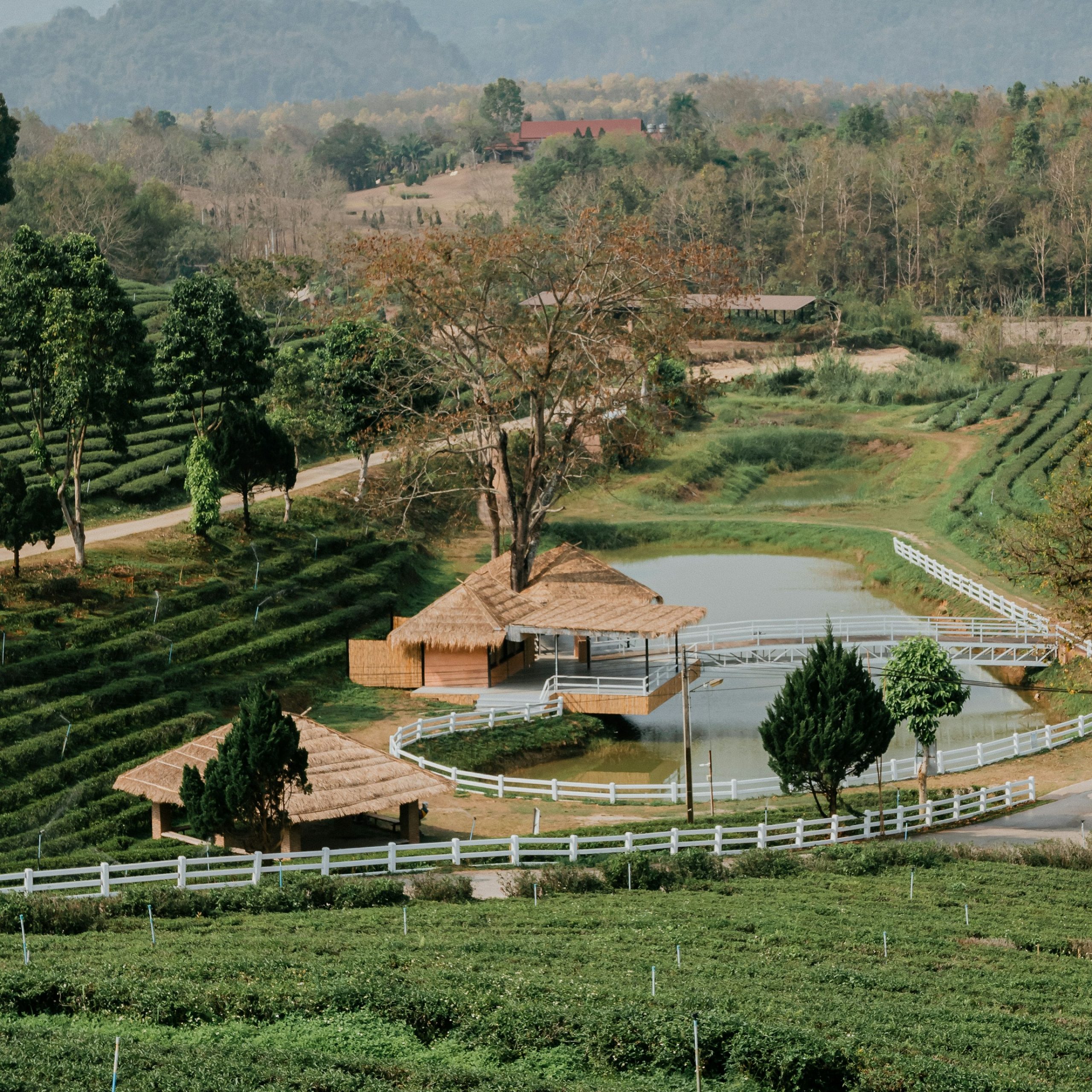 Laem Sak community workshop and local craft activity