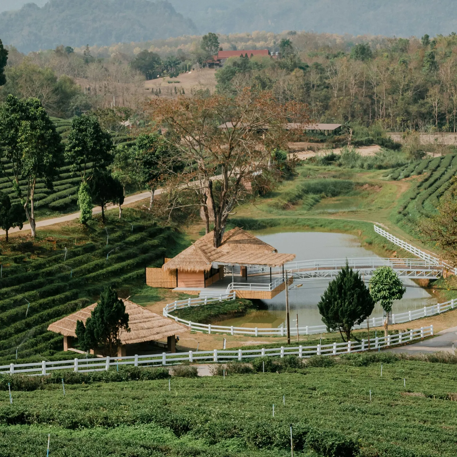 Laem Sak community workshop and local craft activity